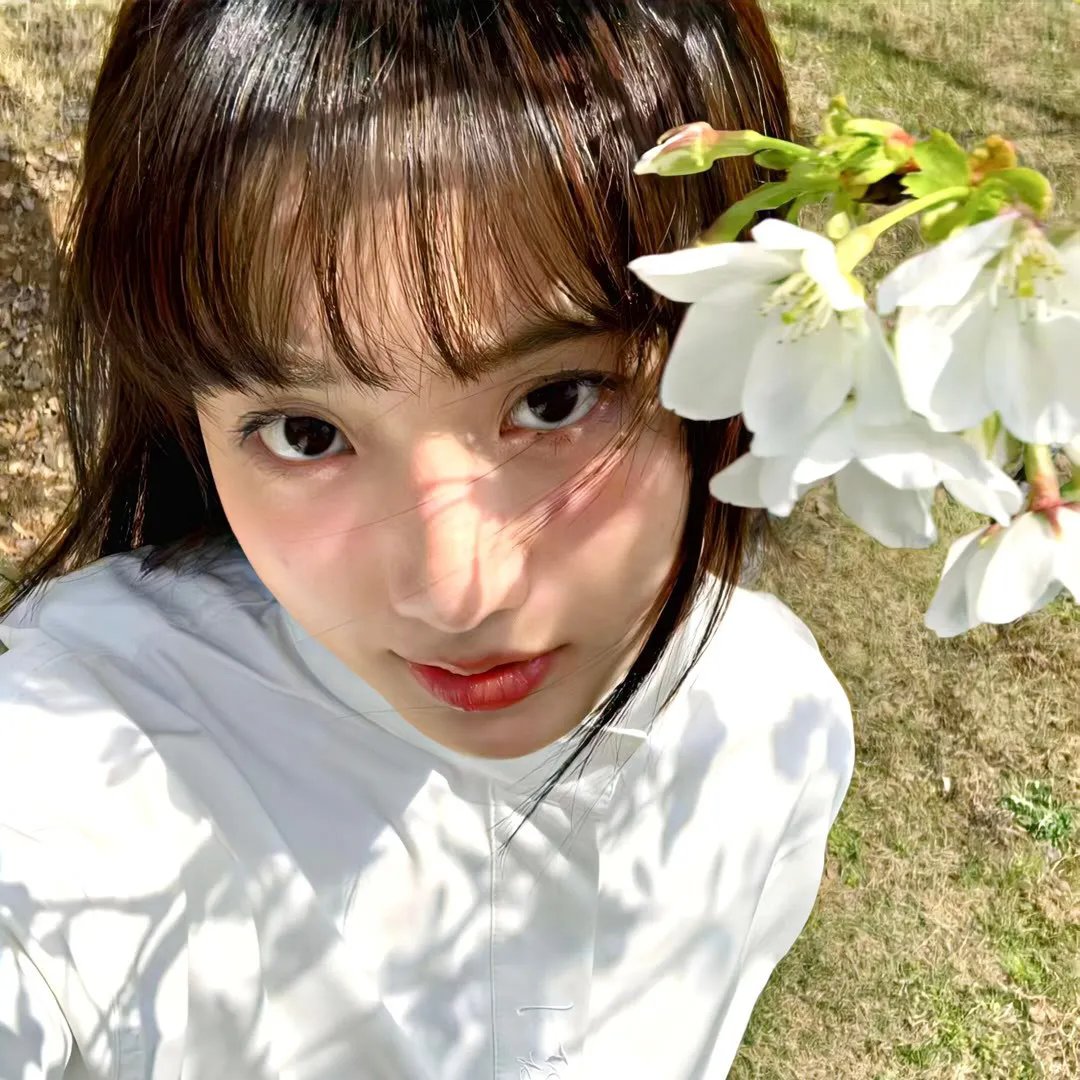 弊家伙,苏菲唔见咗! 海报