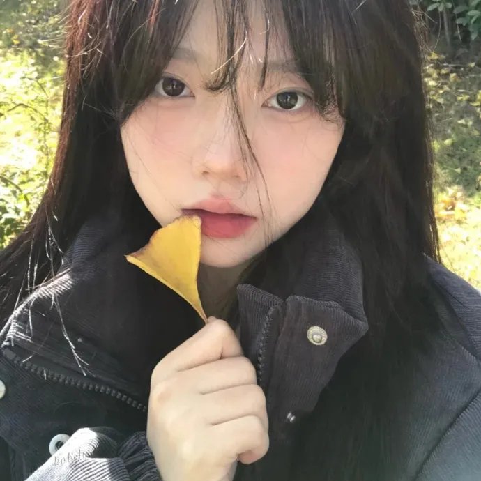 飞车女童党 海报
